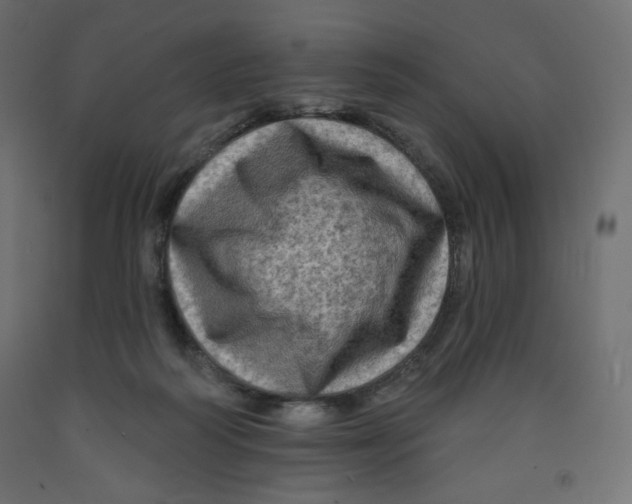 X0000091950218200710041014