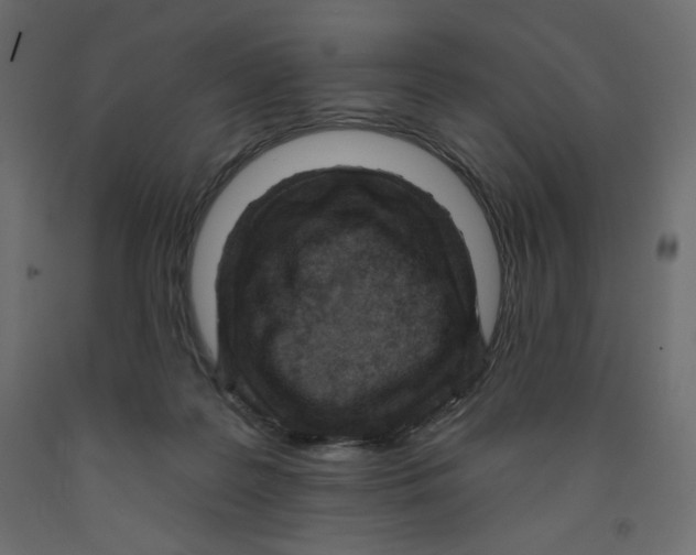 X0000091950219200710041014