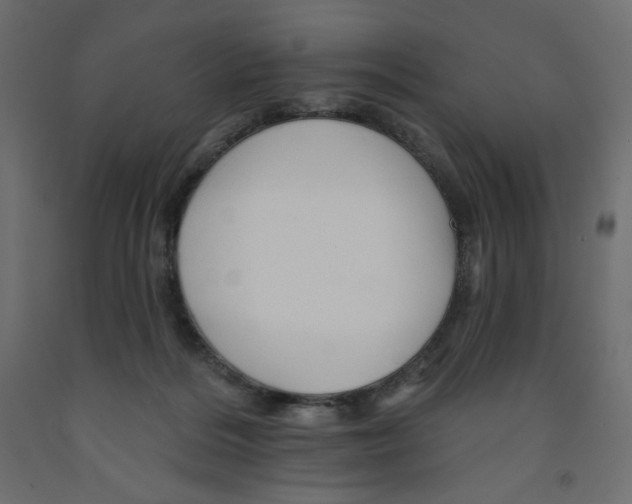 X0000091950220200710041014