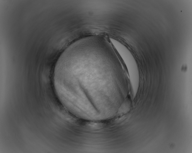 X0000091950221200710041014