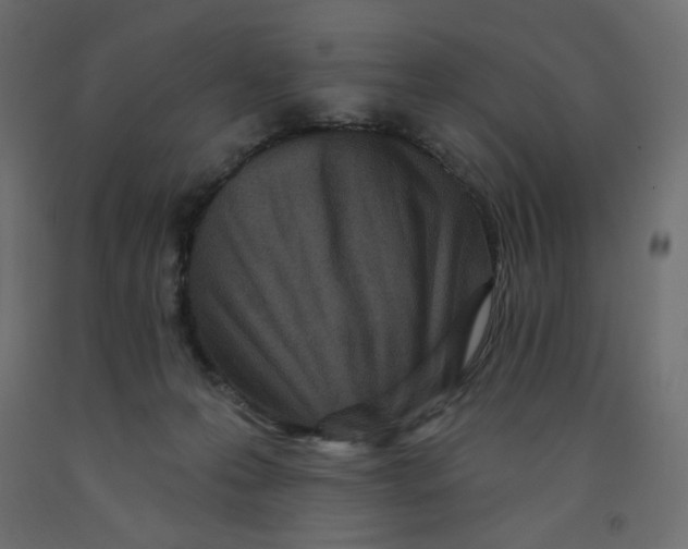 X0000091950223200710041014