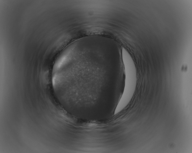 X0000091950224200710041014