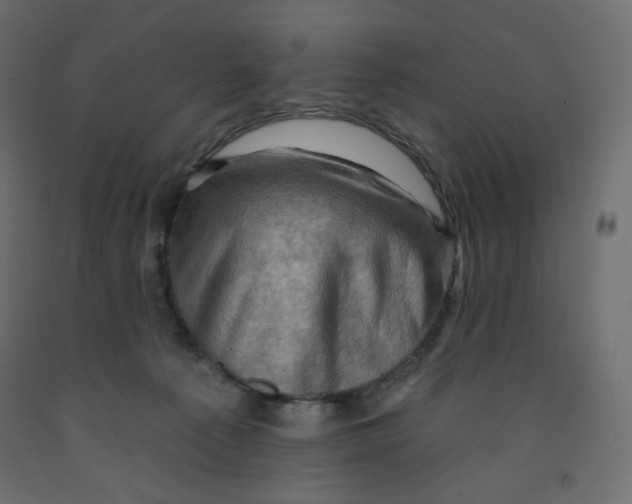 X0000091950225200710041014