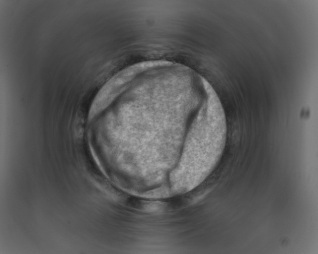 X0000091950226200710041014