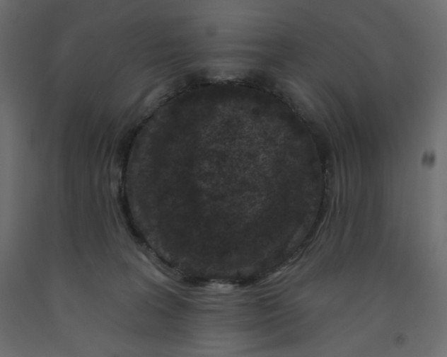 X0000091950227200710041014