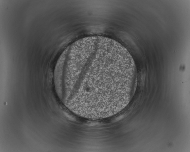 X0000091950228200710041014