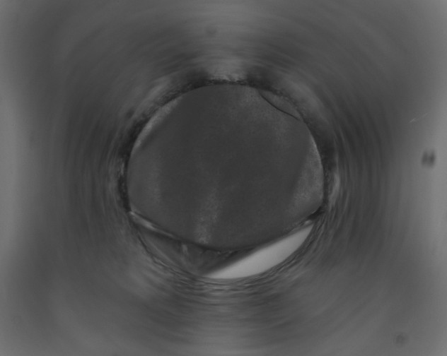 X0000091950229200710041014