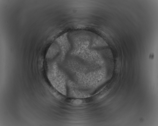 X0000091950230200710041014