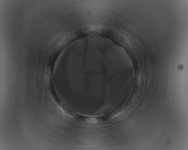 X0000091950231200710041014