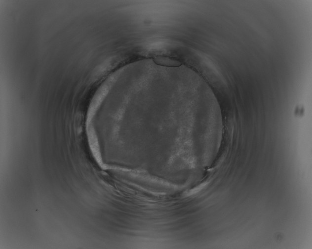 X0000091950232200710041014