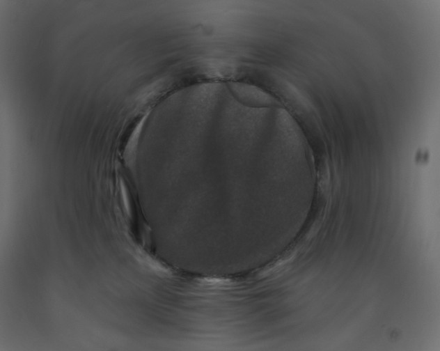 X0000091950233200710041014