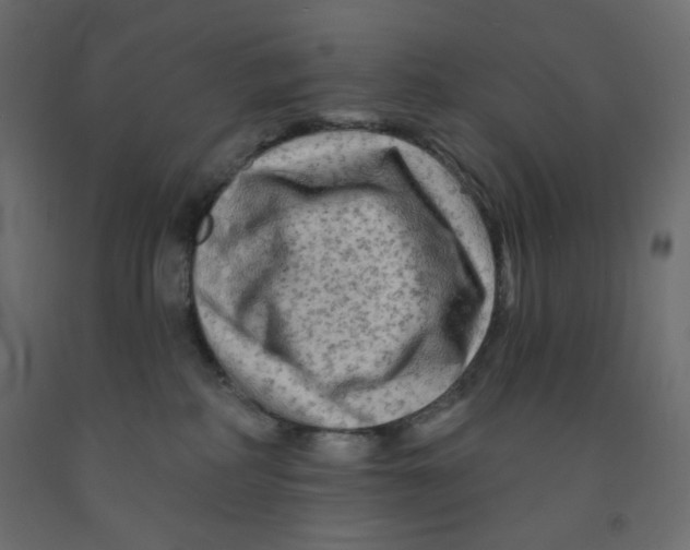 X0000091950234200710041014