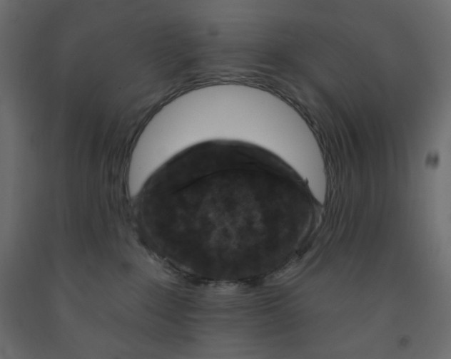 X0000091950235200710041014