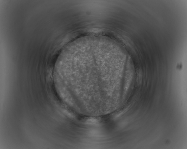 X0000091950236200710041014