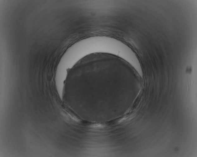 X0000091950237200710041014