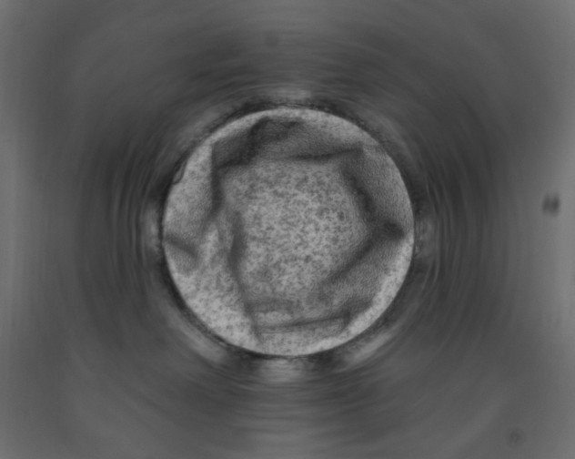 X0000091950238200710041014