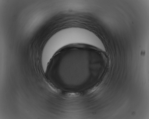 X0000091950239200710041014