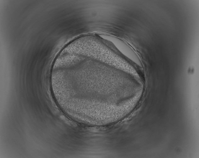 X0000091950241200710041013