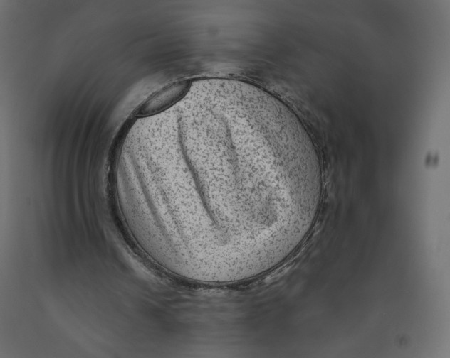 X0000091950242200710041013