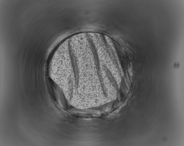 X0000091950244200710041013