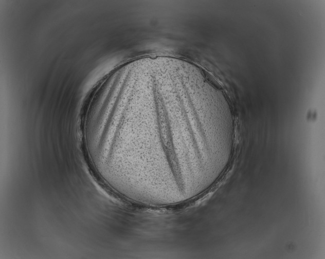 X0000091950245200710041013