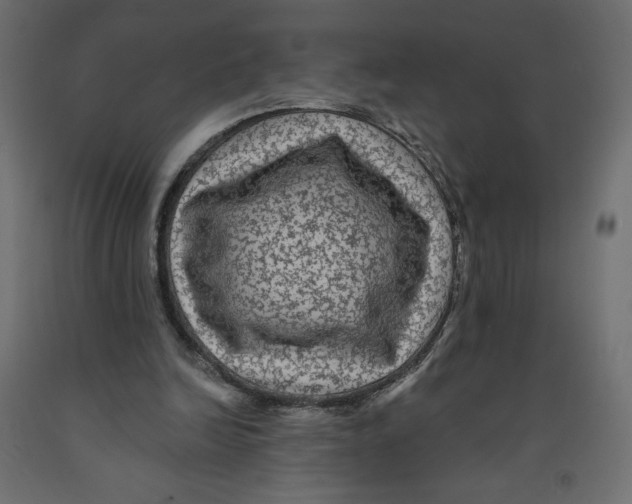 X0000091950246200710041013