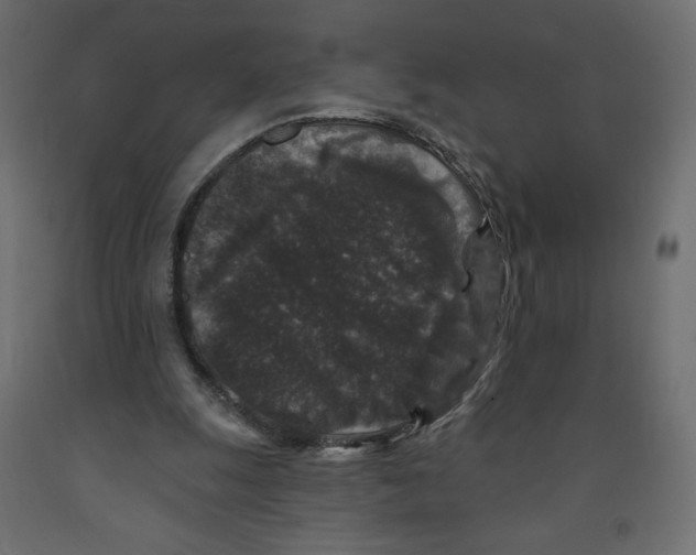 X0000091950247200710041013