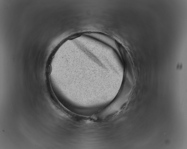 X0000091950248200710041013