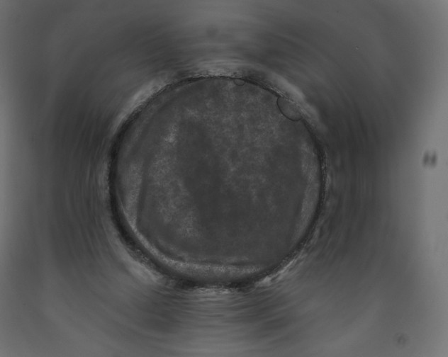 X0000091950250200710041013