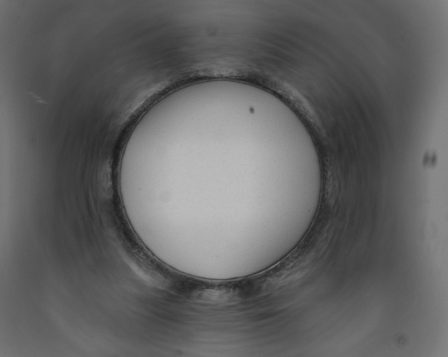 X0000091950251200710041013