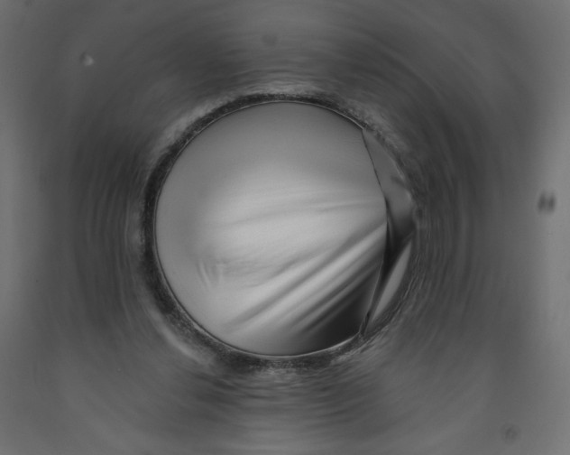 X0000091950252200710041013
