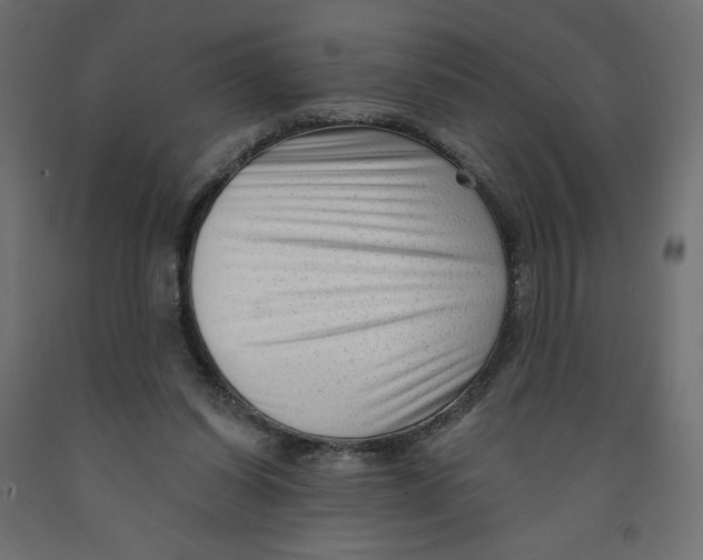 X0000091950254200710041013