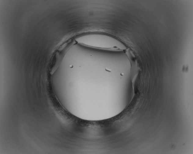 X0000091950256200710041013