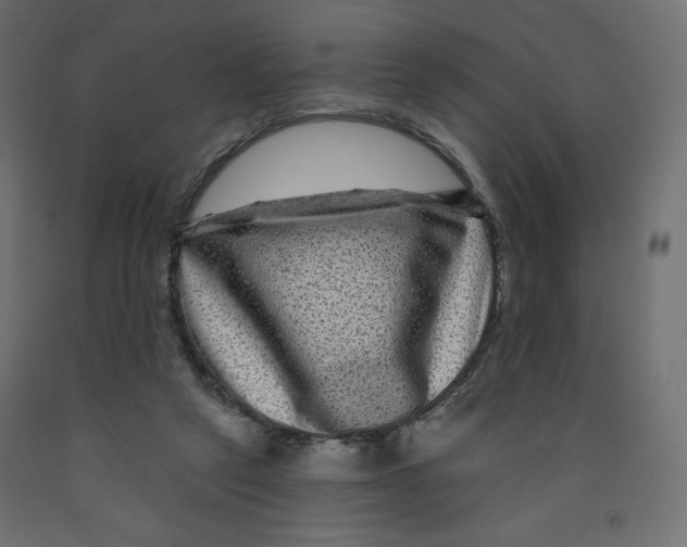 X0000091950257200710041013