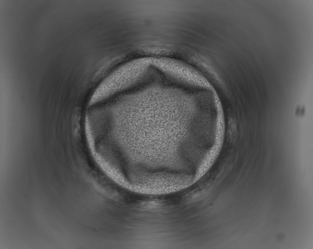 X0000091950259200710041013