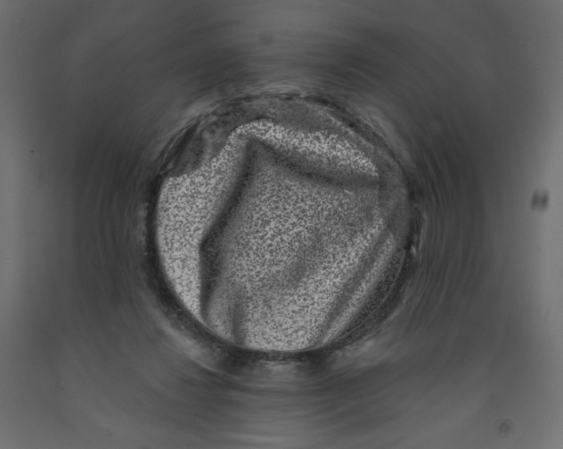 X0000091950260200710041013