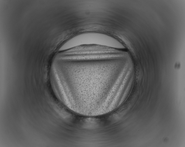 X0000091950261200710041013