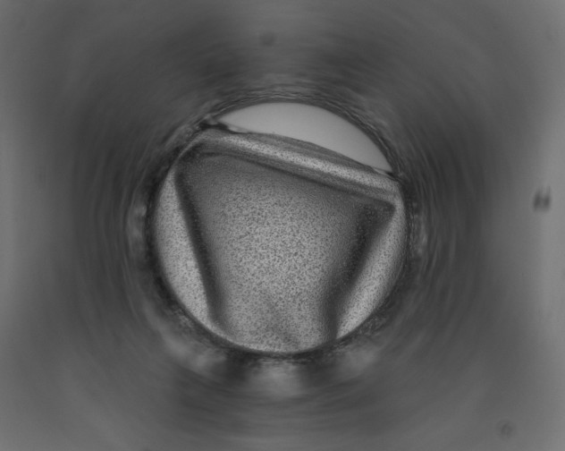 X0000091950263200710041013