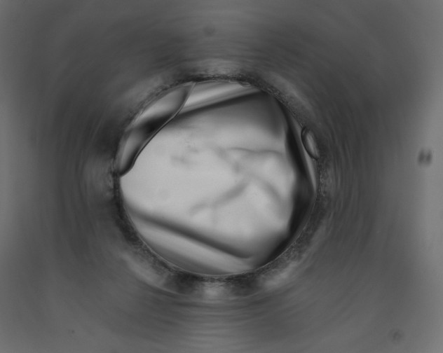 X0000091950264200710041013
