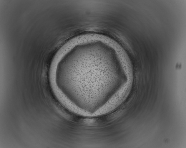 X0000091950265200710041013