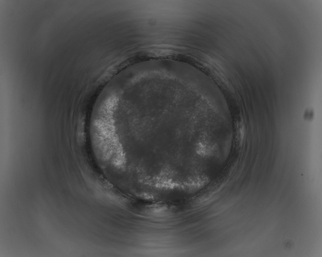 X0000091950267200710041014