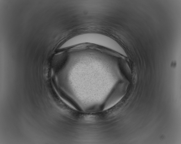 X0000091950268200710041014