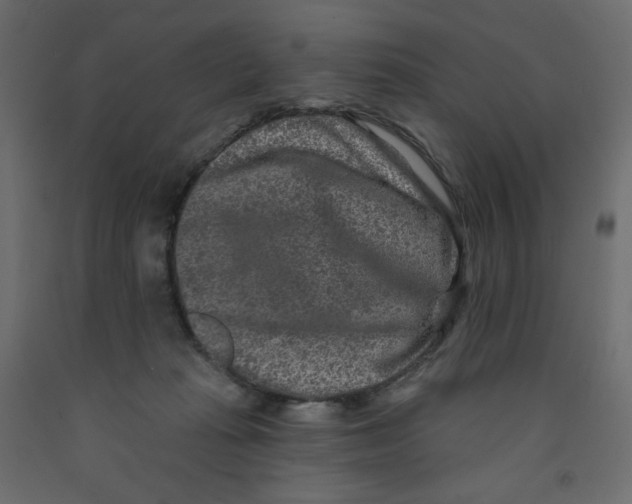 X0000091950269200710041014