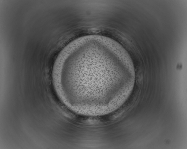 X0000091950270200710041014