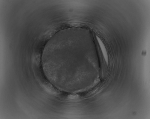 X0000091950271200710041014