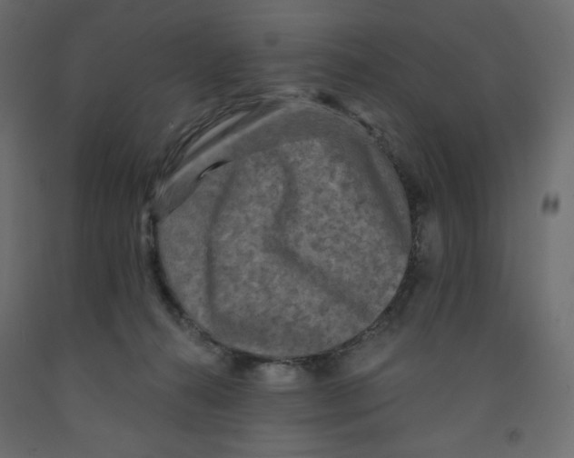 X0000091950272200710041014