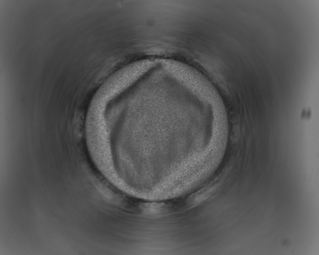 X0000091950273200710041014
