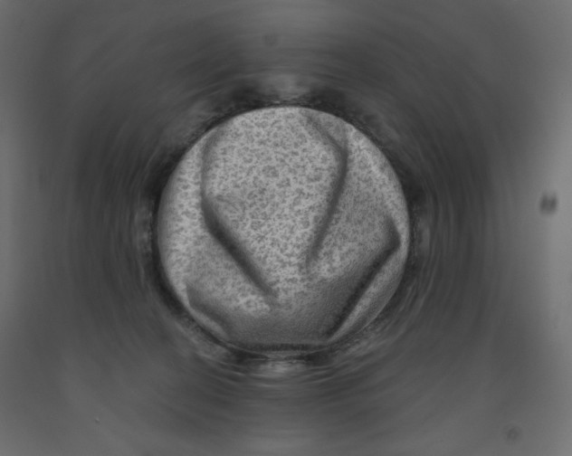 X0000091950274200710041014