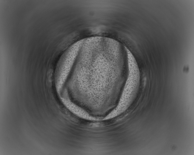 X0000091950275200710041014