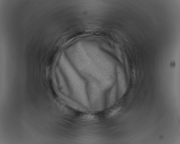 X0000091950276200710041014